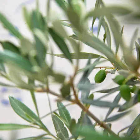 アパート Inglesinhos - Castelo リスボン