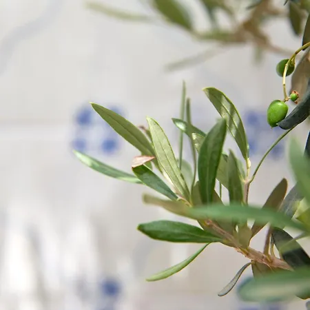 דירה Inglesinhos - Castelo *