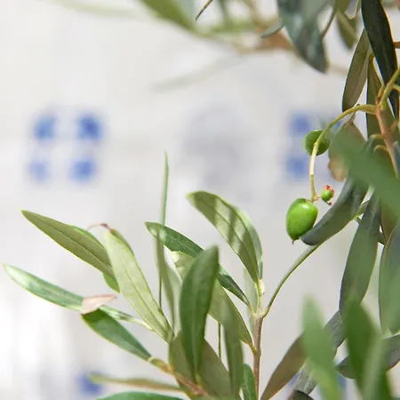 דירה Inglesinhos - Castelo *