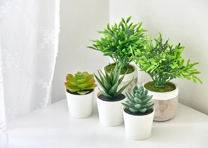 شقة Inglesinhos - Castelo *