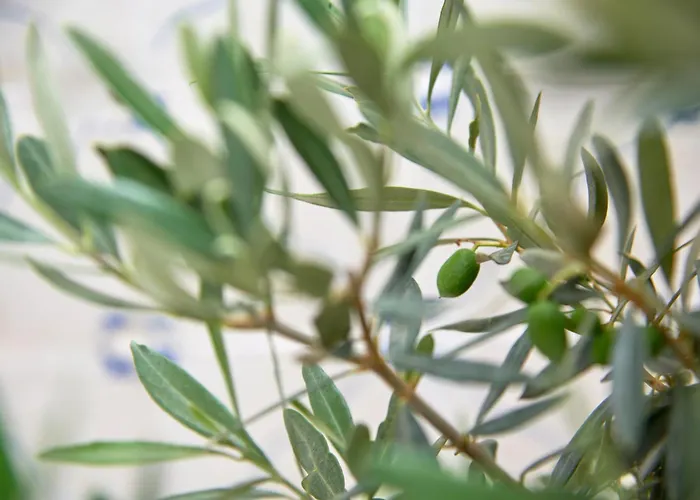 شقة Inglesinhos - Castelo Lisboa