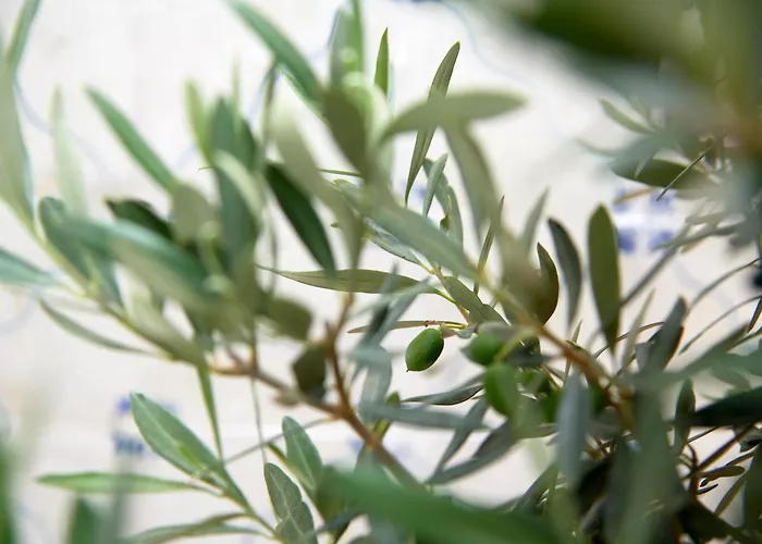 Inglesinhos - Castelo * Lisboa