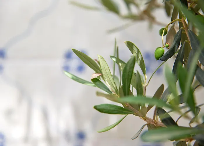 شقة Inglesinhos - Castelo *