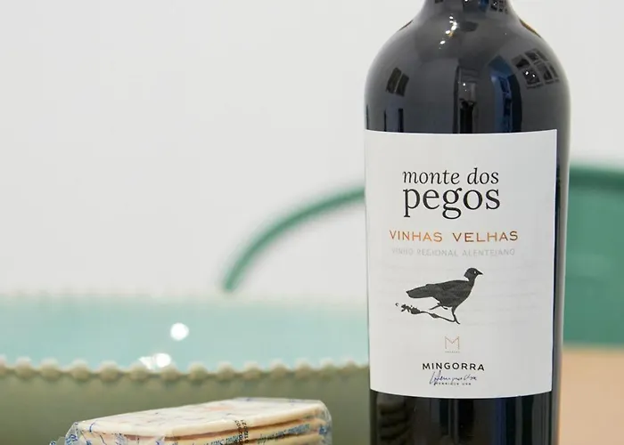 Inglesinhos - Castelo شقة