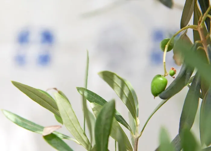 شقة Inglesinhos - Castelo *