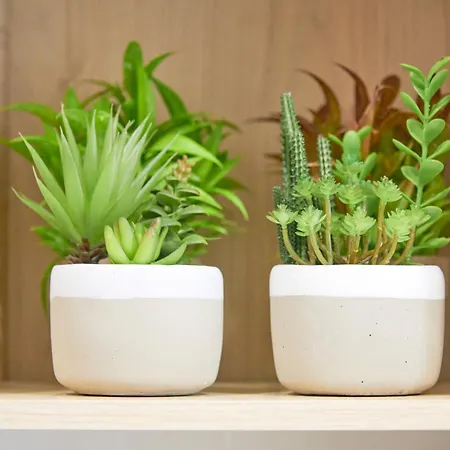 Apartmán Inglesinhos - Castelo