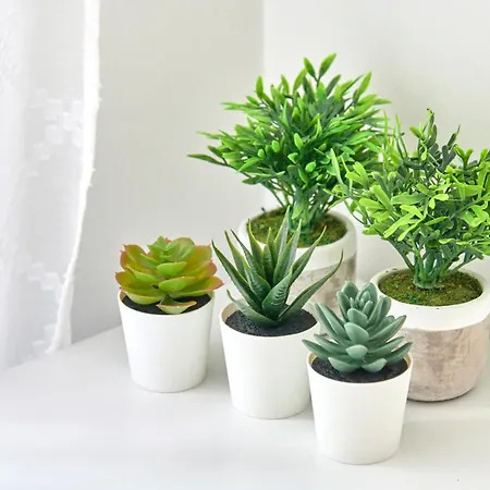 Apartmán Inglesinhos - Castelo *